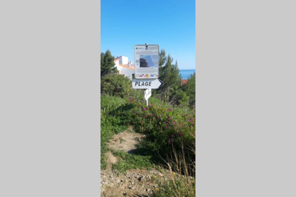 Appartement F2 Proche Des Criques Et Thalasso Banyuls-sur-Mer Eksteriør bilde